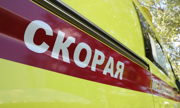 Урбанист Евгения Муринец оценила строительство новых подстанций скорой помощи в Москве