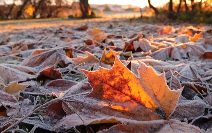 Синоптик Тишковец: 9 октября станет самым холодным днем в Москве за месяц