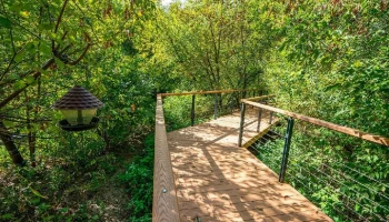 Экомаршрут обустроили вдоль Сельскохозяйственной улицы в столичном парке "Яуза"