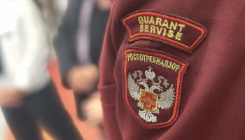 Роспотребнадзор оценил риск эпидемии опасной лихорадки чикунгунья в России