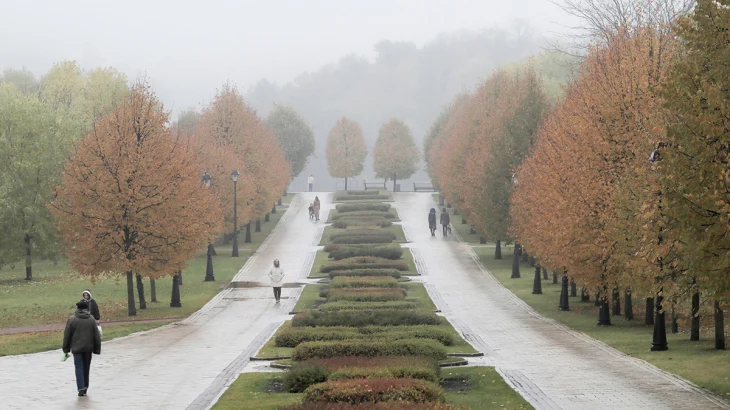 МЧС предупредило о тумане в Москве до утра 22 октября