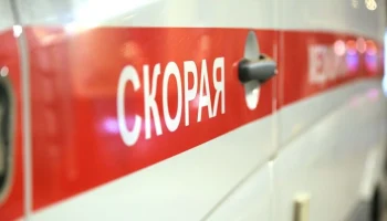 Умерла одна из двух девочек, пострадавших от школьника с молотком в Домодедове