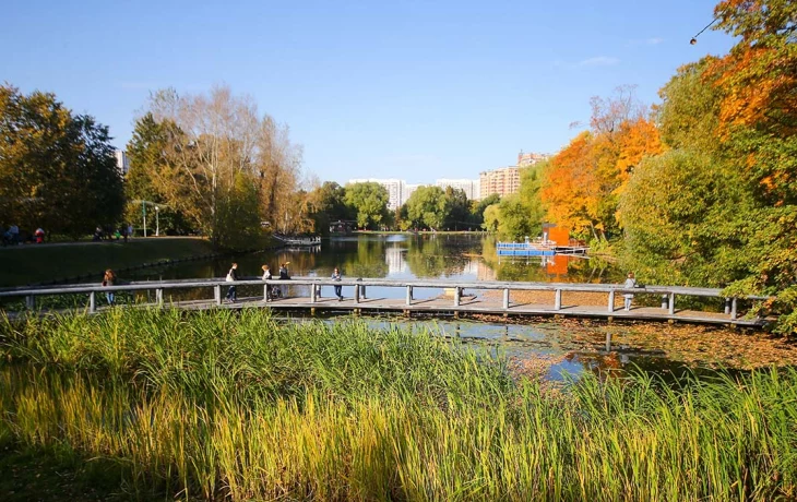 Синоптик Шувалов: В выходные в Москву придет бабье лето