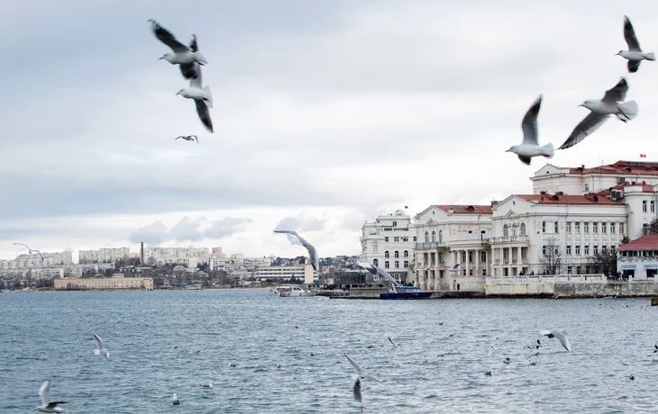 Развожаев объяснил массовое отключение электричества в Севастополе Развожаев объяснил массовое отключение электричества в Севастополе