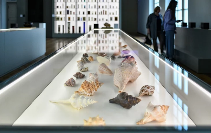 Москвичей пригласили на День экологического образования на ВДНХ Москвичей пригласили на День экологического образования на ВДНХ