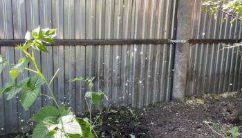 Женщина пострадала в Шебекине Белгородской области при обстреле ВСУ