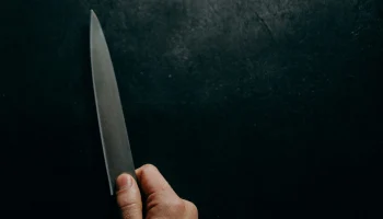 &laquo;Данила, что за кишки у тебя тут стоят?&raquo;: сын в башкирском Кумертау расчленил мать и 10 дней расклад