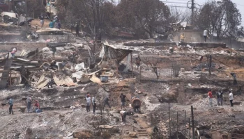 Свыше 100 человек погибли из-за лесных пожаров в Чили