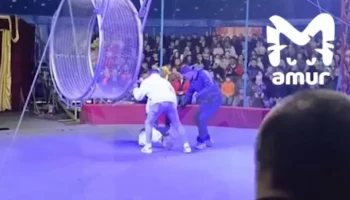 В цирке "Звездный" рассказали о состоянии упавшего с высоты артиста