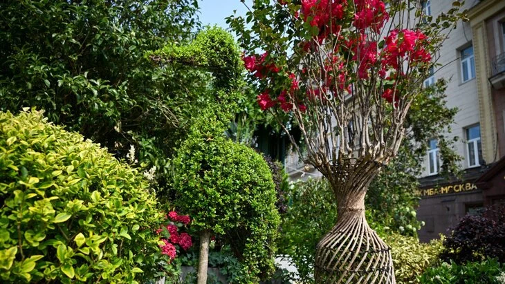 Фестиваль "Сады и цветы" стал ориентиром для оформления столичного бизнеса Фестиваль "Сады и цветы" стал ориентиром для оформления столичного бизнеса