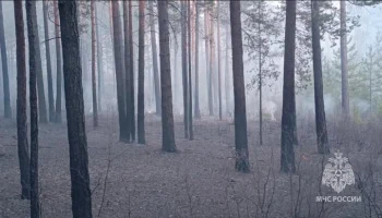 Режим ЧС федерального значения введен в Забайкалье из-за лесных пожаров