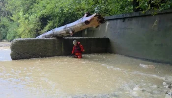 Девушку унесло потоком воды в районе Чертовой купели в Сочи Девушку унесло потоком воды в районе Чертовой купели в Сочи