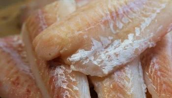 ВАРПЭ: Евросоюз столкнулся с дефицитом трески из-за антироссийских санкций