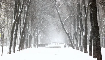 Прошедший 25 декабря снегопад в Москве стал самым сильным с начала зимы