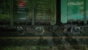 Четыре вагона товарного поезда сошли с рельсов в Ленинградской области