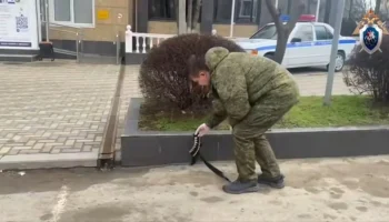 СК опубликовал видео с территории колледжа в Анапе, где произошла стрельба