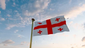 Оппозиция в Грузии потребовала проведения новых парламентских выборов