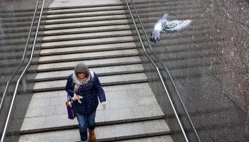 Синоптики сообщили об облачной погоде в Москве 26 февраля