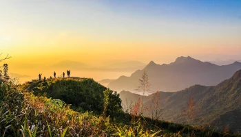 Автобус с российскими туристами вылетел с трассы в Таиланде