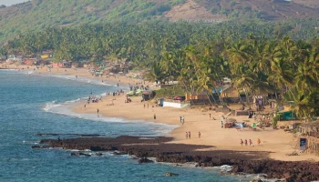 Генконсульство РФ оказывает содействие задержанной в индийском Гоа россиянке