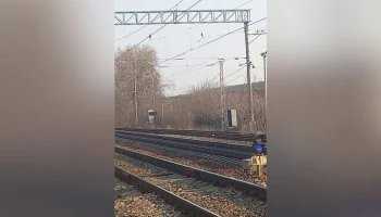 Трое подростков совершили поджог на железной дороге в Подмосковье