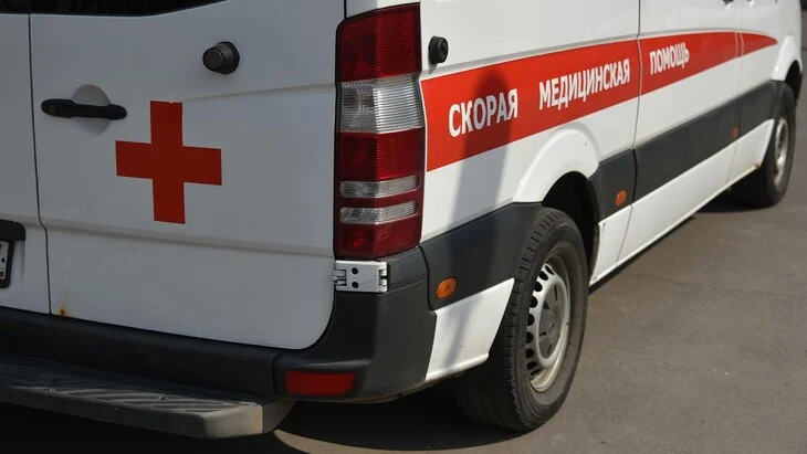 Двое мужчин погибли при подрыве на минном поле в Курской области Двое мужчин погибли при подрыве на минном поле в Курской области