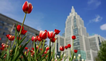 Синоптик Шувалов рассказал, когда в Москву вернется тепло