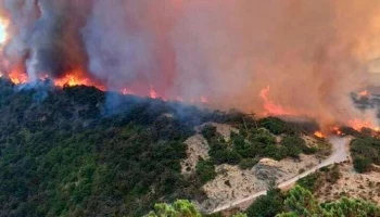 Число эвакуированных с баз отдыха в Краснодарском крае возросло почти до 300 человек