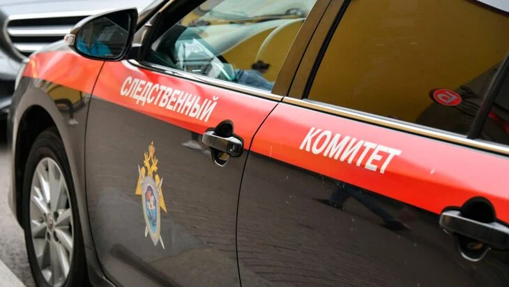 В Архангельской области мать организовала похищение сына для отправки его в рехаб В Архангельской области мать организовала похищение сына для отправки его в рехаб