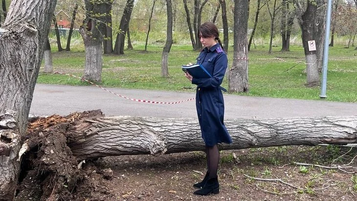 Два человека погибли из-за падения деревьев в Самаре Два человека погибли из-за падения деревьев в Самаре