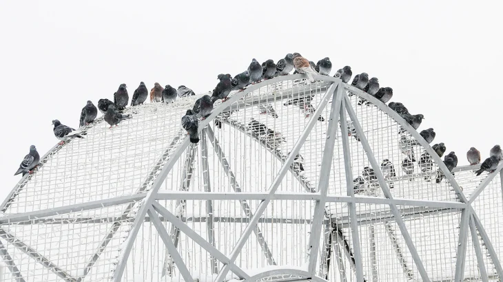 Синоптики сообщили о пасмурной погоде и небольшом снеге в Москве 10 декабря Синоптики сообщили о пасмурной погоде и небольшом снеге в Москве 10 декабря