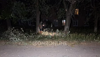 Пять детей пострадали в Донецке в результате детонации взрывоопасного предмета