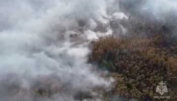 Огнеборцы потушили 63 природных пожара в РФ 18 мая