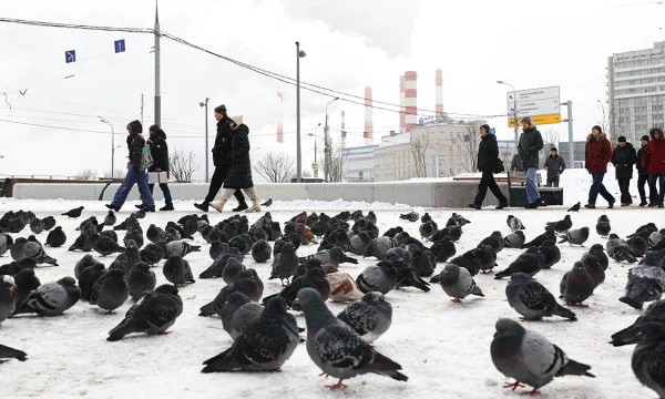 Синоптики пообещали москвичам облачную и морозную погоду без осадков 18 февраля
