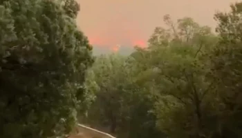 Площадь пожара под Новороссийском выросла до 51 гектара