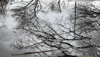 В Гидрометцентре рассказали об очередном потеплении в Москве В Гидрометцентре рассказали об очередном потеплении в Москве