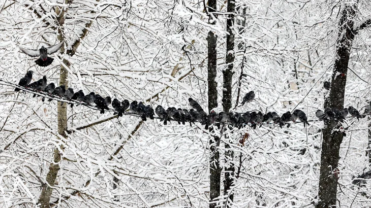 Вильфанд: Зима в России будет холоднее предыдущей Вильфанд: Зима в России будет холоднее предыдущей