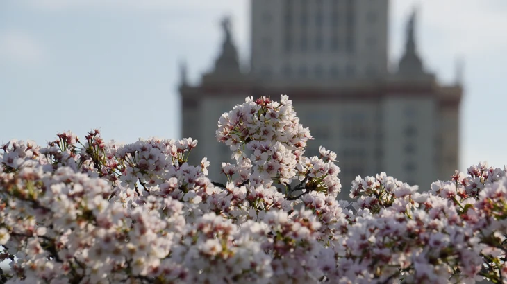 Синоптик рассказала, ждать ли москвичам опасных погодных явлений на неделе Синоптик рассказала, ждать ли москвичам опасных погодных явлений на неделе
