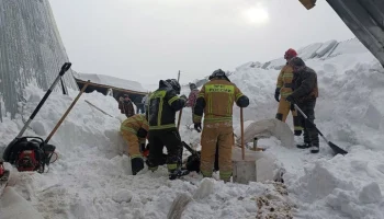 Кровля коровника обрушилась в Удмуртии
