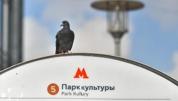 Станцию &laquo;Парк культуры&raquo; Кольцевой линии закроют для входа по будням в часы пик