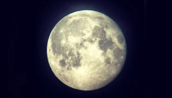 Москва онлайн покажет цифровой пленэр в метавселенной "Лунакрафт"