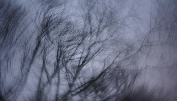 Спасатели возобновили поиски семьи Усольцевых в тайге Красноярского края