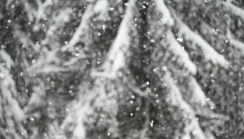 Синоптики предупредили москвичей об облачной погоде со снегом 31 декабря