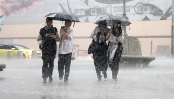 Почти месячная норма осадков выпала в ряде районов Москвы за несколько часов