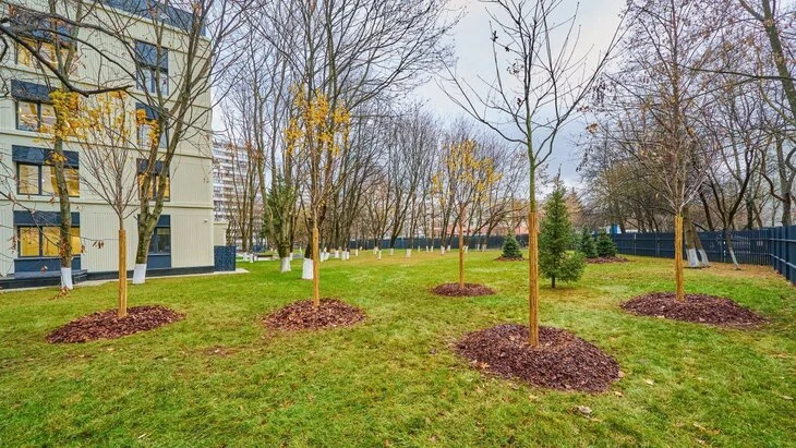 Более 7 тыс кустарников высадят у поликлиник Москвы в рамках второго этапа модернизации Более 7 тыс кустарников высадят у поликлиник Москвы в рамках второго этапа модернизации