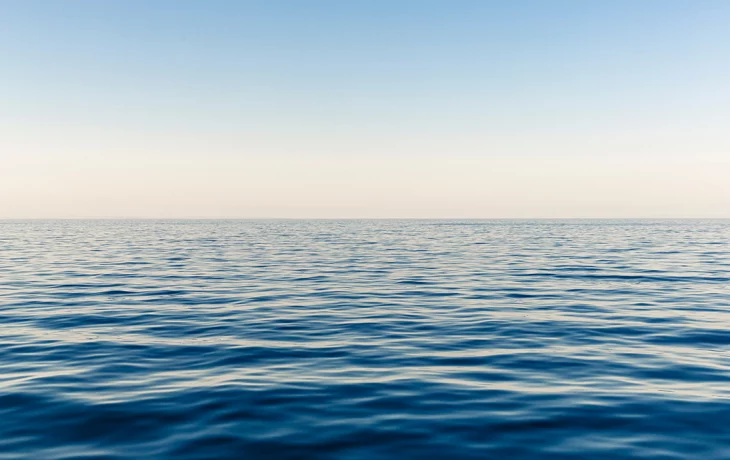 Bloomberg: Балтийская сельдь может исчезнуть из-за лососевых ферм Bloomberg: Балтийская сельдь может исчезнуть из-за лососевых ферм