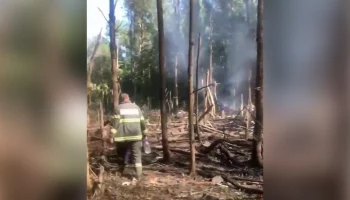 Бастрыкин поручил доложить о ходе расследования крушения самолета в Подмосковье