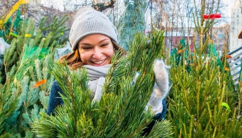 &laquo;Зима в Москве&raquo;: 270 елочных базаров открылись в столице