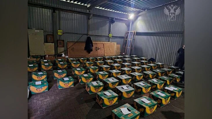 Пресечена контрабанда кокаина в Россию стоимостью более 20 млрд рублей Пресечена контрабанда кокаина в Россию стоимостью более 20 млрд рублей