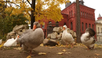 Метеоролог Позднякова пообещала москвичам комфортную погоду на выходных